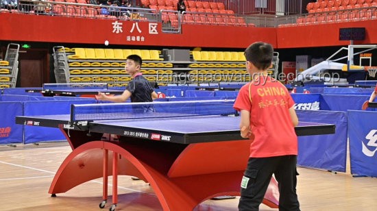 从“国乒男双无缘四强”看竞技体育的创新突围之路